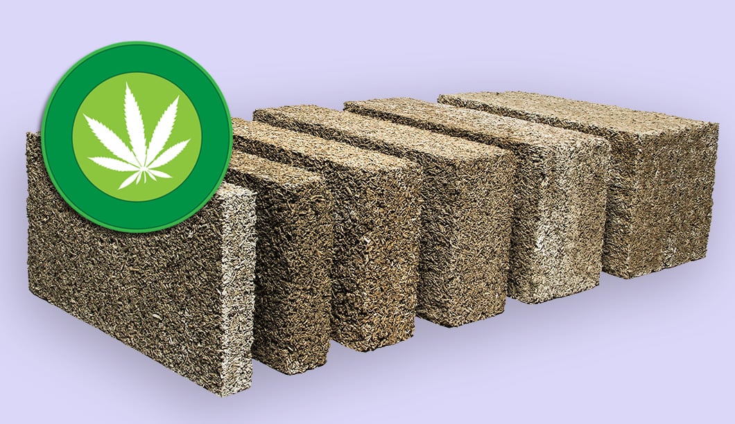 Portugal pode ser pioneiro na utilização de cânhamo em vez de betão