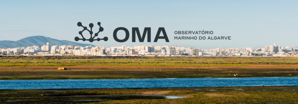 Algarve Marine Observatory Aims to Bridge Science and Business for Sustainable Innovation