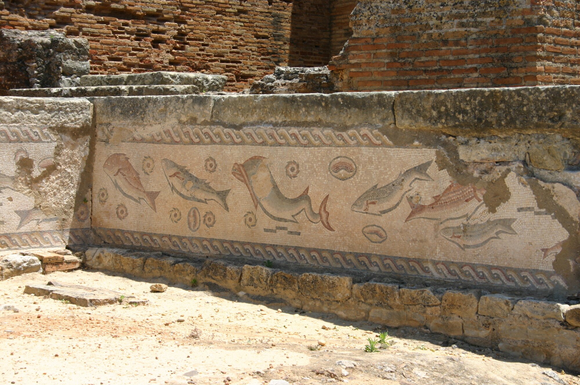 Uncover Hidden Algarve: Free History Course Returns with 'Forgotten Voices and Stories'